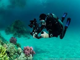 DIVING Underwater Photography
