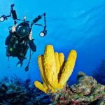 Diving in Egypt / How to picture wonderful things under the waters of the Red Sea in Hurghada and Sharm El Sheikh / Tips for underwater photography when diving in Egypt/ the Red Sea