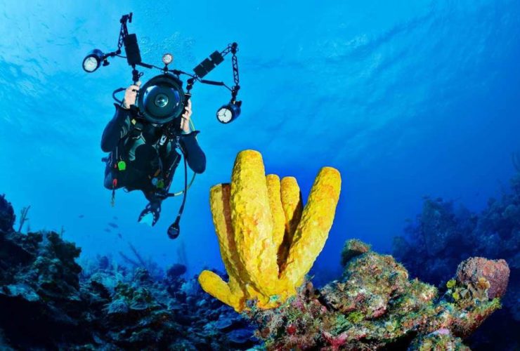 Diving in Egypt / How to picture wonderful things under the waters of the Red Sea in Hurghada and Sharm El Sheikh / Tips for underwater photography when diving in Egypt/ the Red Sea