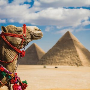 A day trip to Cairo and the great pyramids of Giza / Sharm El Sheikh