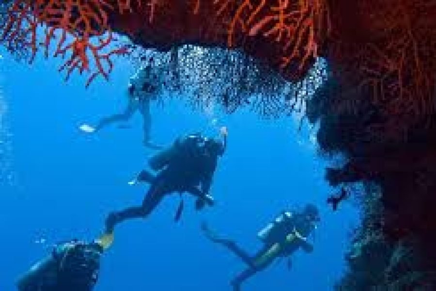 White Island & Ras Mohammed Tauchausflug ab Sharm El Sheikh