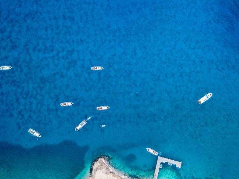 Delphine Hurghada - Schnorcheln mit Delfinen in einem privaten Schnellboot