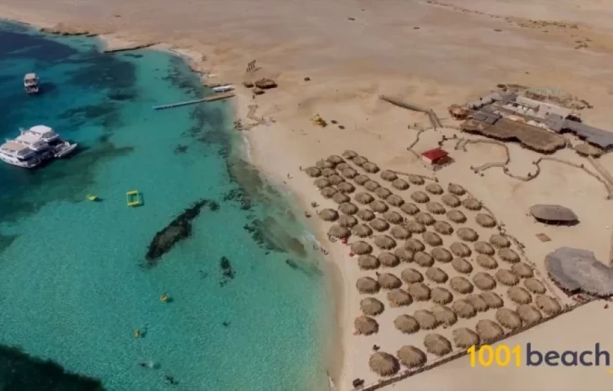 Vip Hurghada paradise island egypt PLUS + with Diving