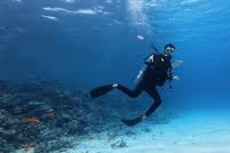 Excursie Snorkeling la Abu Dabbab din Marsa Alam