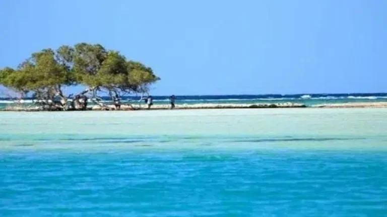 Sharm El Luli Snorkeling Tour from Marsa Alam – White Sand Beach & Coral Reefs