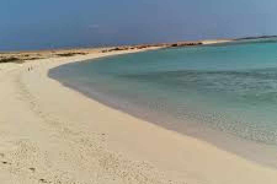 Tour de Snorkel en Sharm El Luli desde Marsa Alam