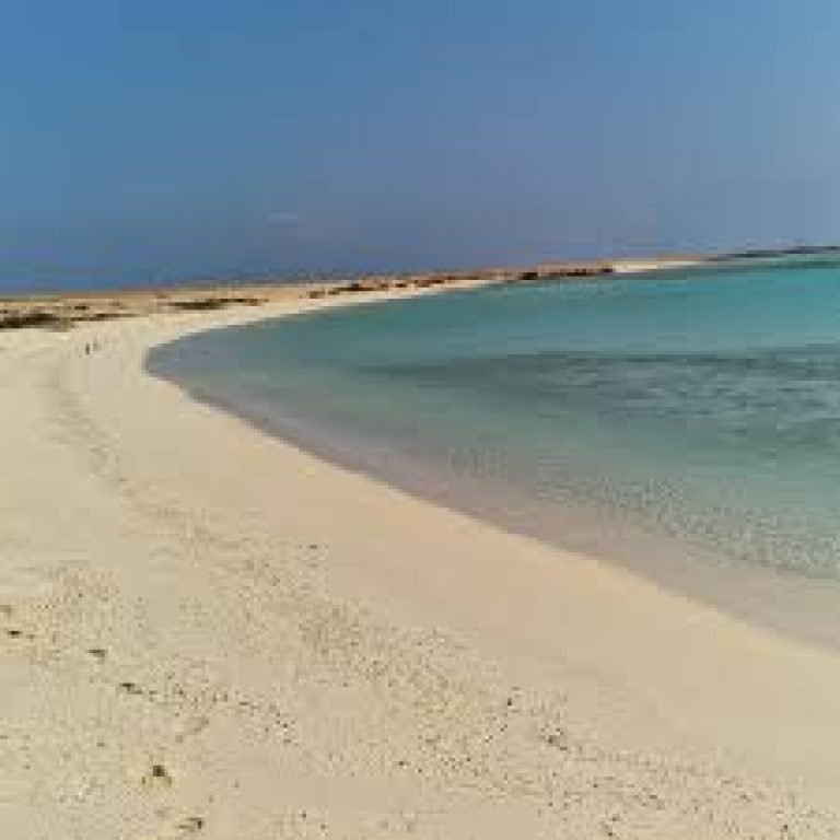 Sharm El Luli Marsa Alam Snorkeltour | Ontdek het Mooiste Strand van Egypte & Wadi El Gemal