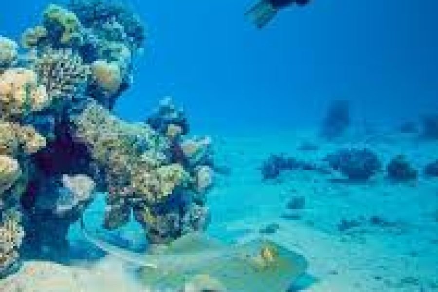 Excursions TUI Magic Life Kalawy
