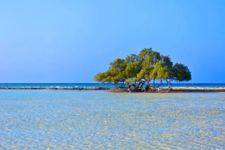 Sharm El Luli Marsa Alam