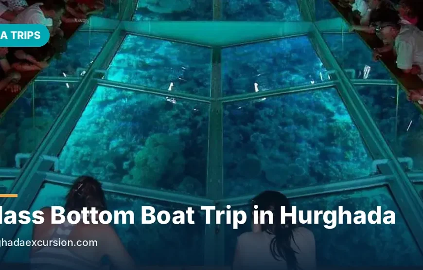 bateau à fond de verre à Hurghada 2026 | Excursion Mer Rouge & Coraux