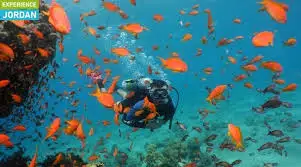 Experience the Red Sea