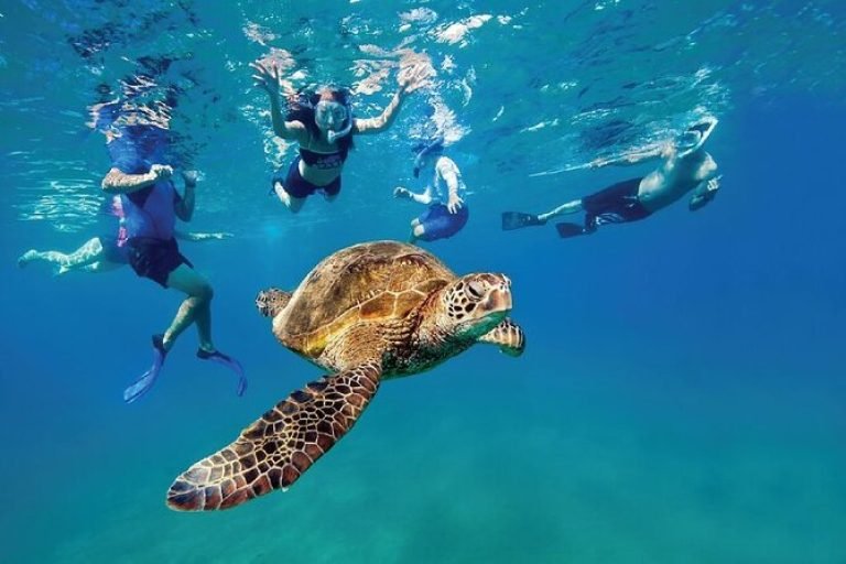 Sharm El Luli Snorkeltour vanuit Port Ghalib | Dagtocht Rode Zee