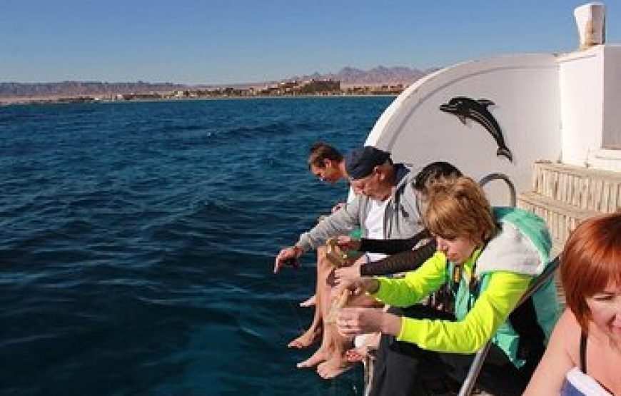 Wędkowanie w Dahab z Sharm El Sheikh | Wycieczka Rybacka Morze Czerwone