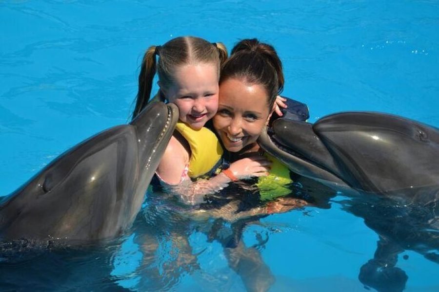 Delfinárium Sharm El Sheikh – Delfinshow és úszás delfinekkel