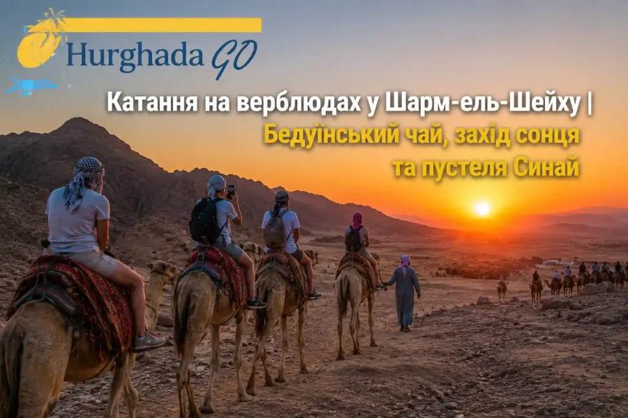 Катання на верблюдах у Шарм-ель-Шейху | Бедуїнський чай