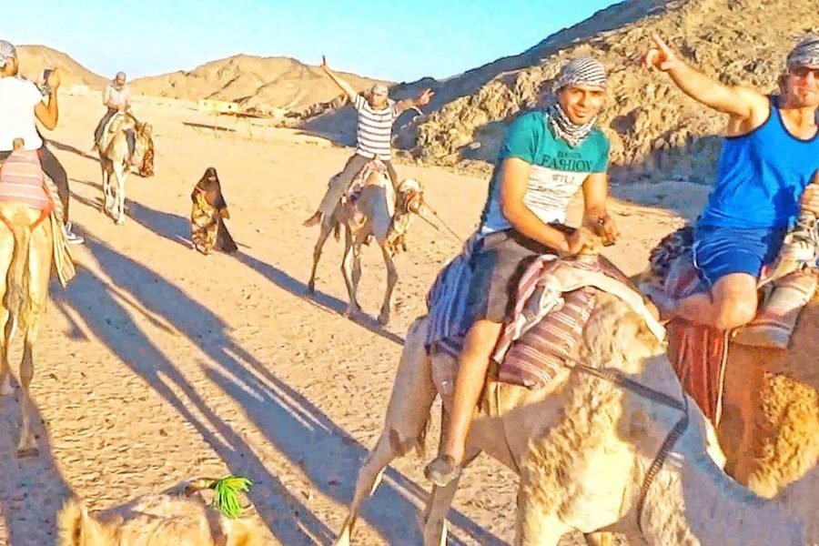 Sharm El Sheikh Camel Ride & Bedouin Tea