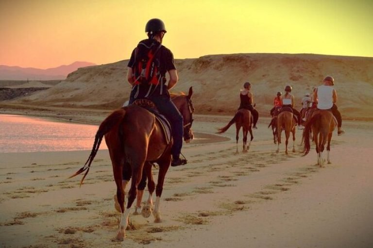 Balade à Cheval à Hurghada depuis Sahl Hasheesh | Désert & Mer Rouge