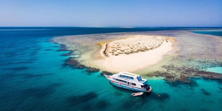 Excursion Snorkeling Îles Hamata depuis Port Ghalib | Plongée et Récifs Intacts