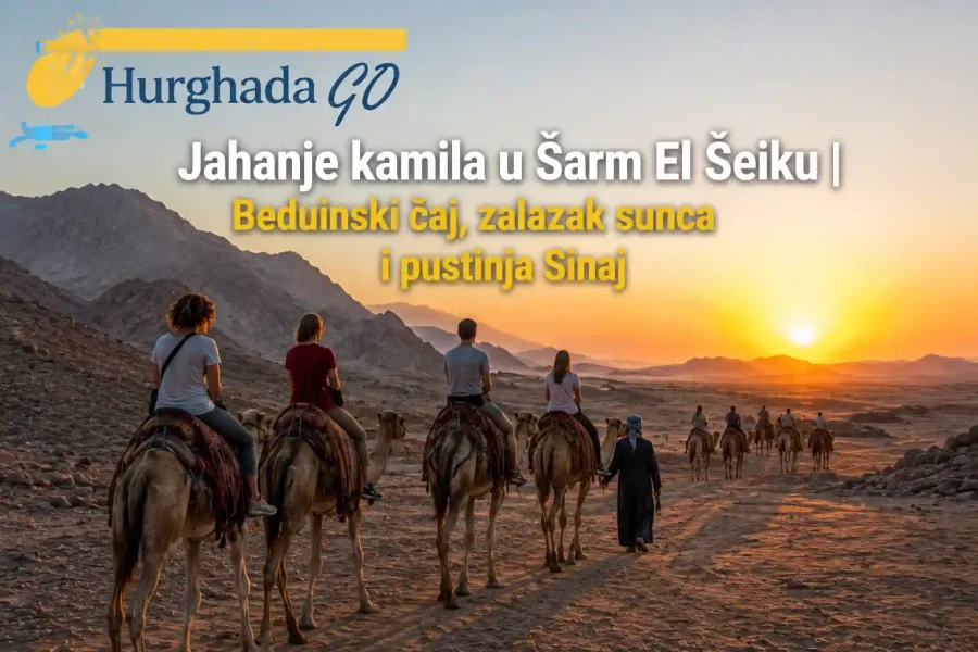 Jahanje kamila u Šarm El Šeiku | Beduinski čaj, zalazak sunca i pustinja Sinaj