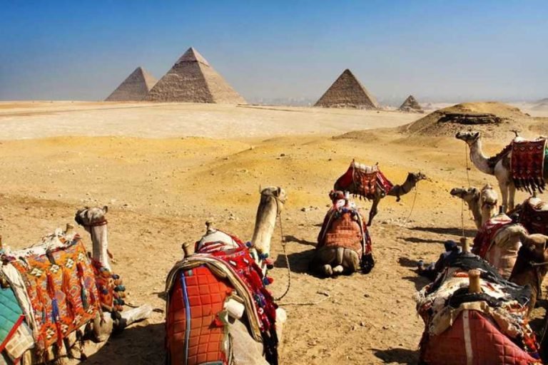 Private Cairo and Giza Pyramids Day Trip from Makadi Bay