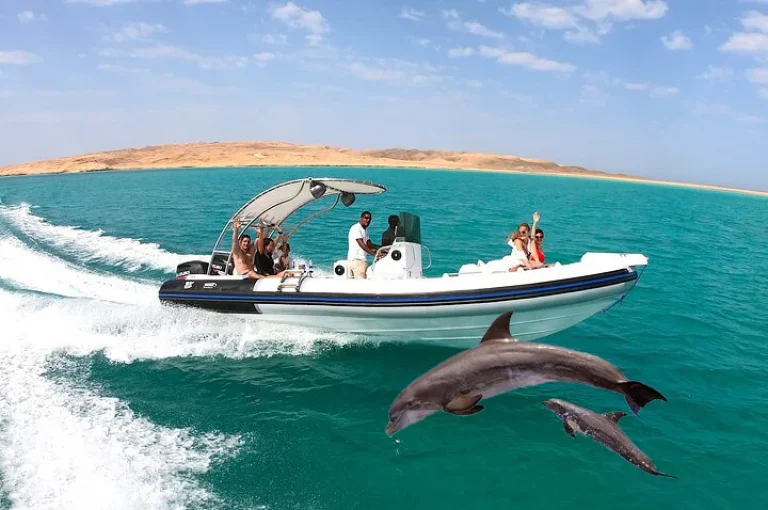 Speedboat Trip to Dolphin House from El Gouna
