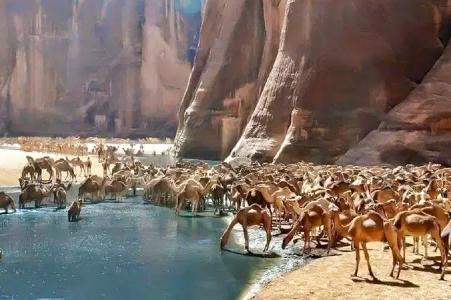 WADI EL GEMAL NATIONAL PARK