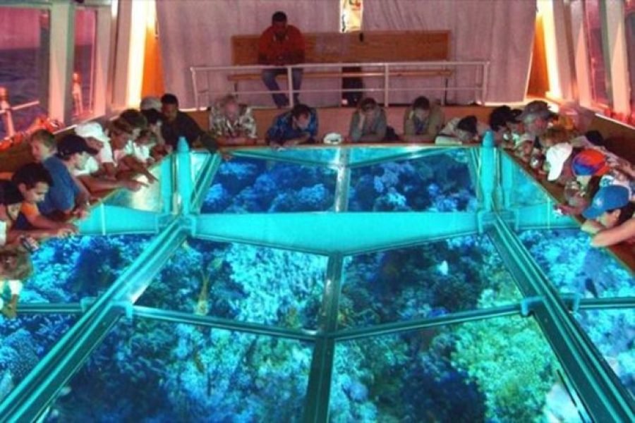 https://hurghadaexcursion.com/trips-in-egypt?location_name=Sharm%20El%20Sheikh&location_id=10203