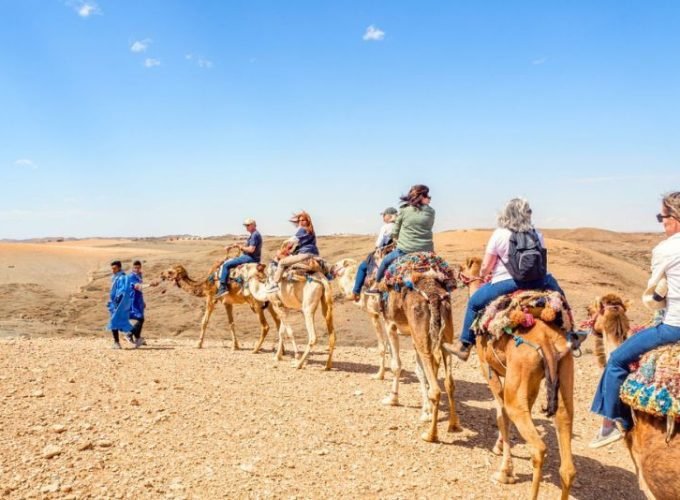 Camel Riding Port Ghalib Day Tour