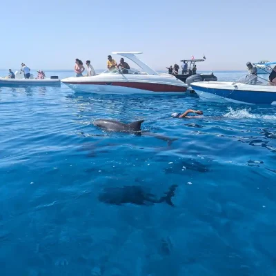 Speedboat Trips from Makadi Bay