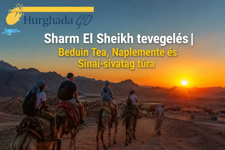 Sharm El Sheikh tevegelés | Beduin Tea, Naplemente és Sínai-sivatag túra
