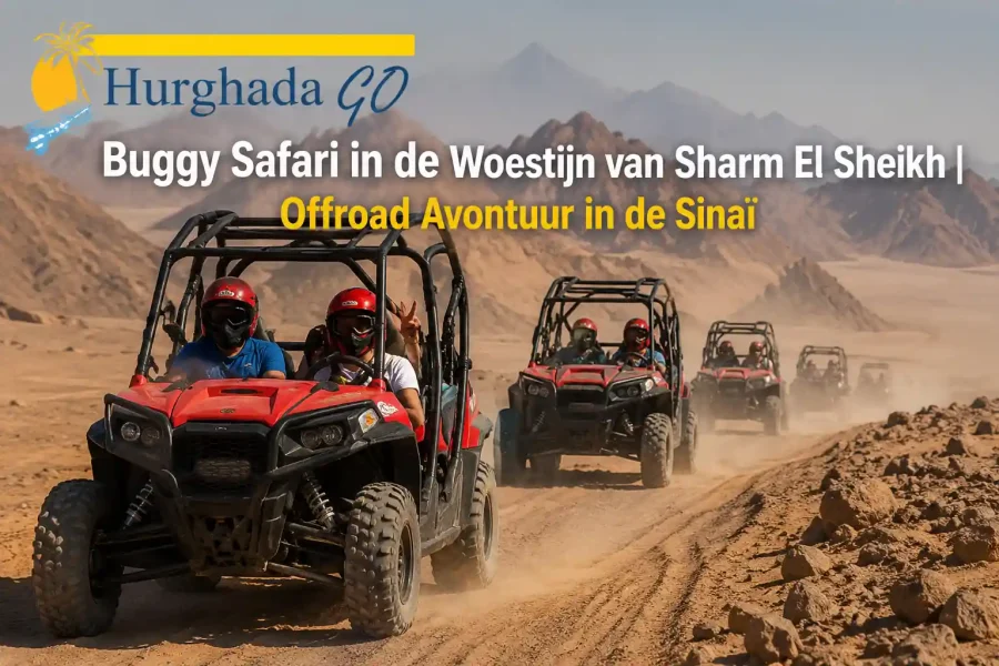 Buggy Safari Sharm El Sheikh | Offroad Avontuur in de Sinaïwoestijn met Bedoeïenenthee