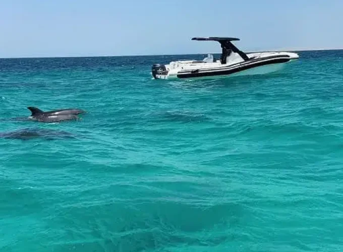 Motorový člun Výlet do Mahmya Island z Makadi Bay