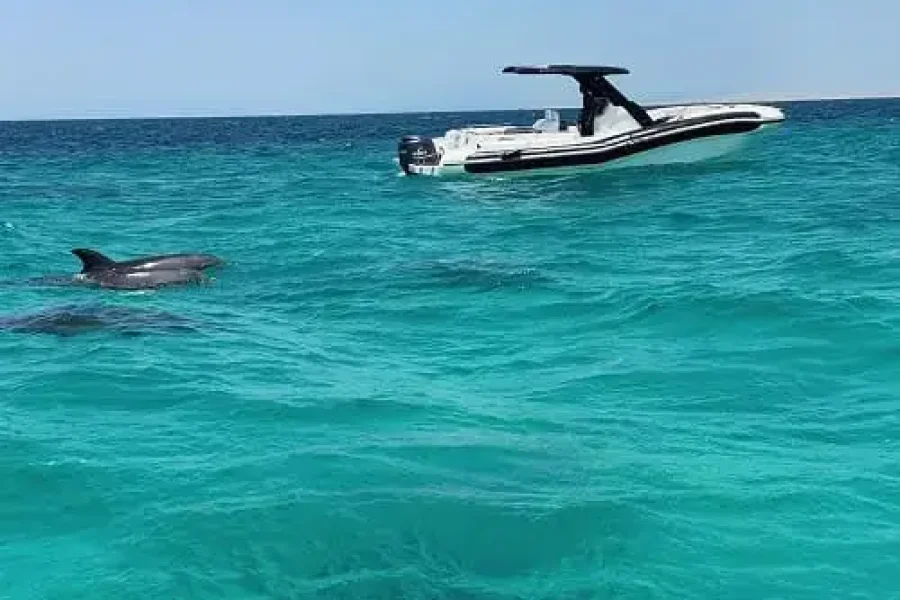 Поездка на скоростном катере на остров Махмья из залива Макади