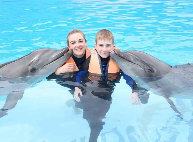 Plavat S Delfíny z Makadi Bay