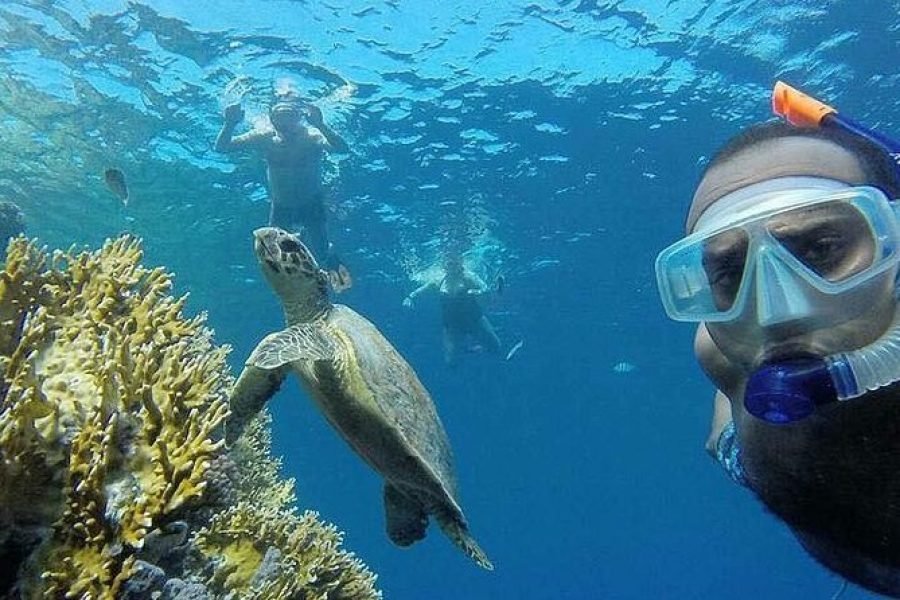 Sharm El Luli Snorkeling Tours
