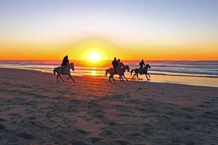 Passeggiata a Cavallo a Hurghada | Esperienza nel Deserto e nel Mar Rosso