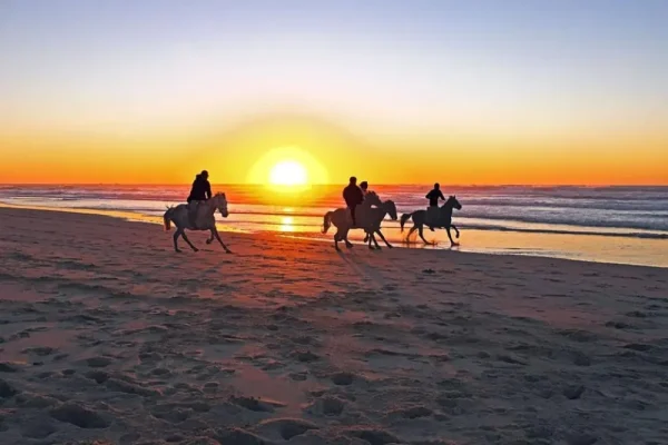 Horse riding by the sea from Makadi Bay