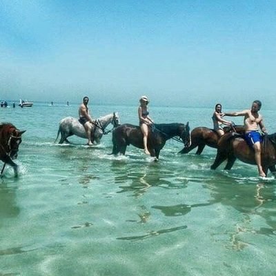 Horse Riding from Makadi Bay