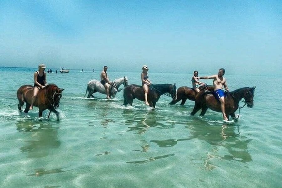 Horse Riding from Makadi Bay