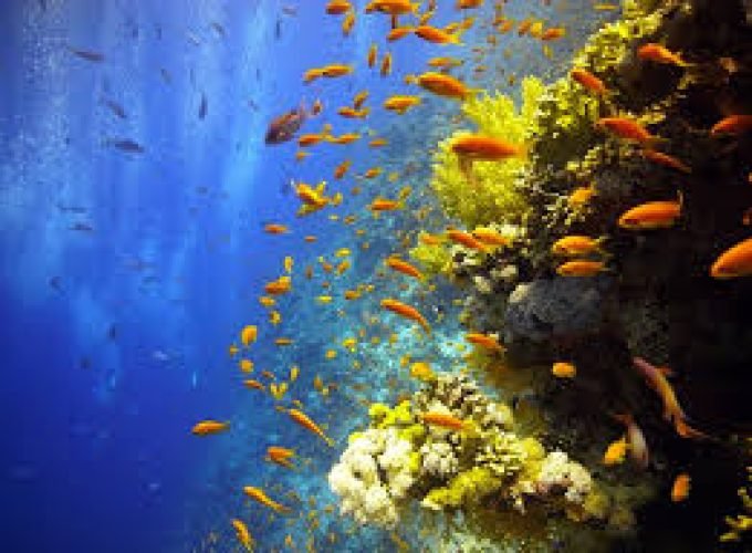 Sharm El Naga Bucht Schnorchelausflug von Makadi Bay