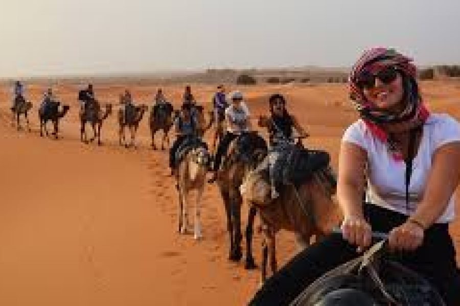 Aladin Safari Excursions from Portghalib