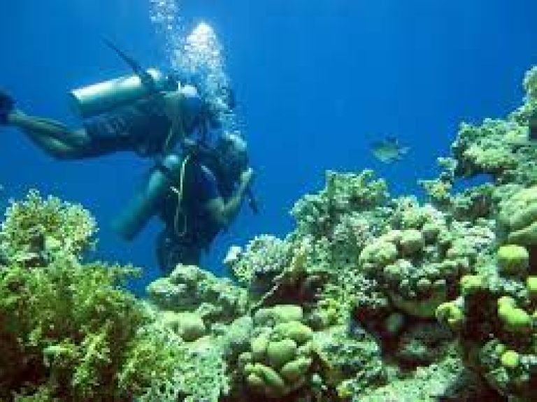 Makadi Bay Scuba Diving Trips