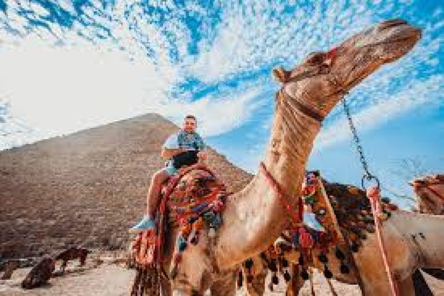 Сафари по пустыне Шарм-эль-Шейха 5 в 1 | Квадроциклы, Верблюды, Бедуинский ужин и Наблюдение за звёздами