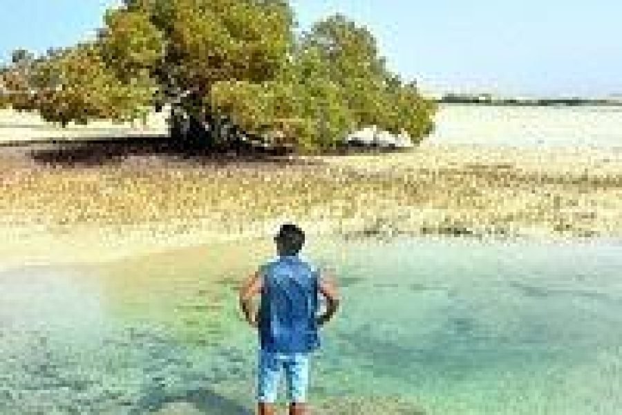 Nakupování v Port Ghalibu