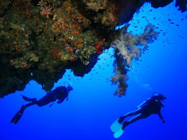 Scuba Diving El Gouna – 2 merülés a Vörös-tengeren