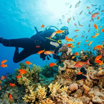 Scuba Diving Tours From Makadi