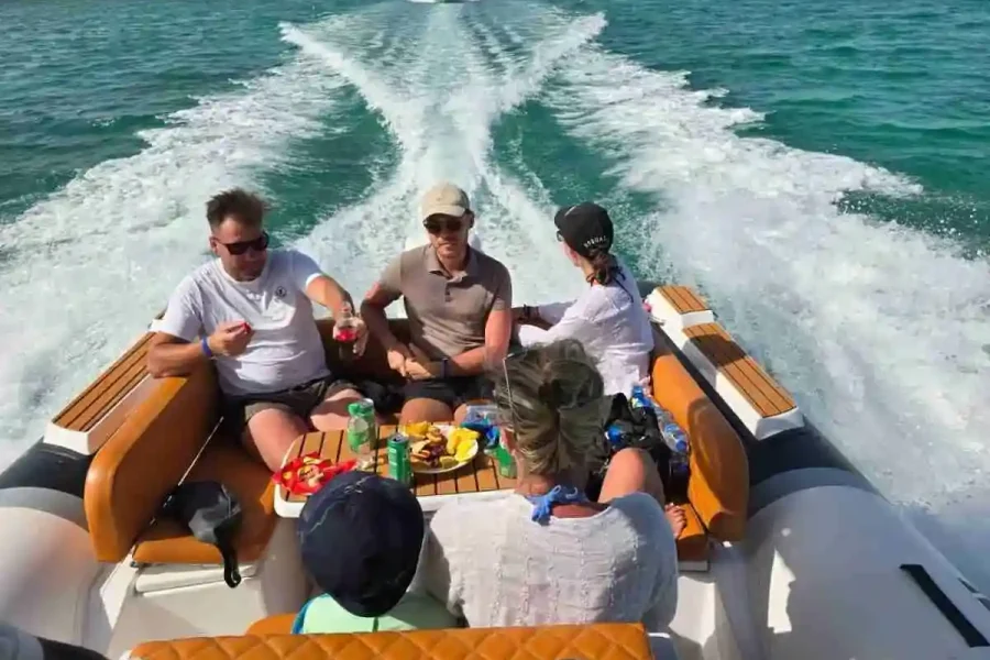 Поездка на частном скоростном катере в Дельфинарий из Макади-Бей | Поплавайте с Дикими Дельфинами