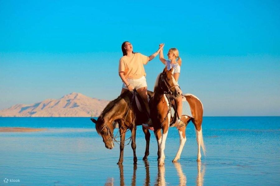 Jahanje u Šarm el Šeiku – Pustinja, Plaža i Zalazak Sunca