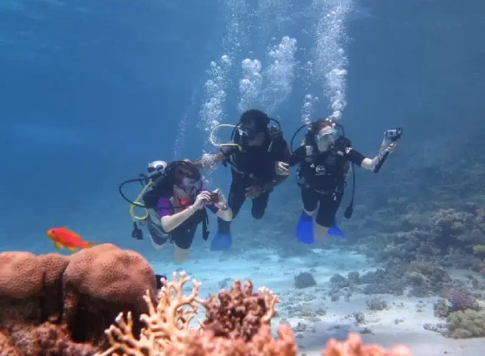 Daily Diving in Hurghada from Sahl Hasheesh