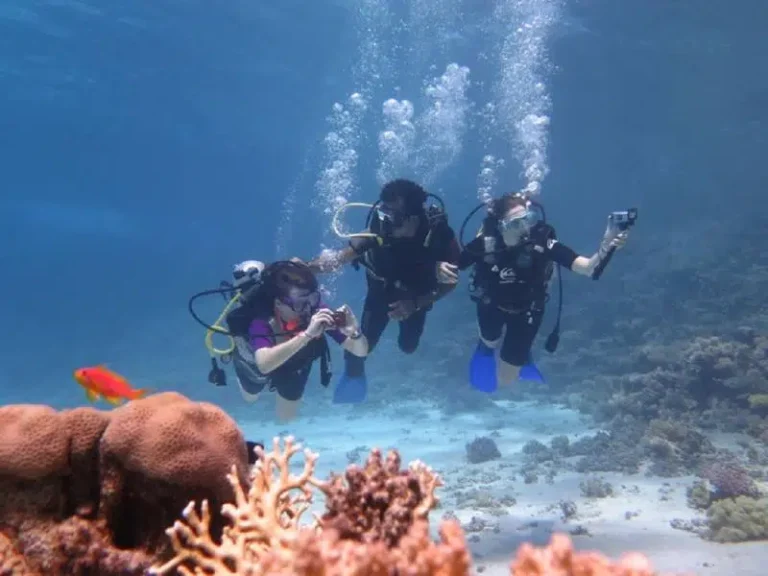 Daily Diving in Hurghada from Sahl Hasheesh | 2 Dives